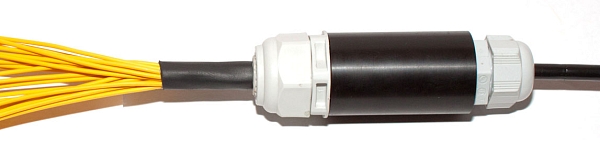 MFP – Multifiber Fanout