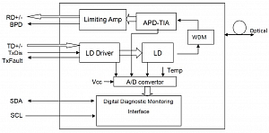 ACT_01-25_EN-GP-LP-LX-C++-02